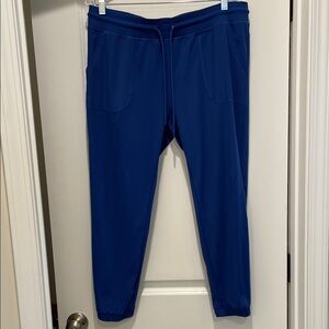 Blue Peak Jogger Pants no zipper